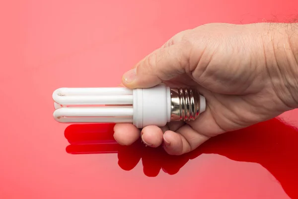 Energiebesparende lamp en witte kleur, daglicht — Stockfoto