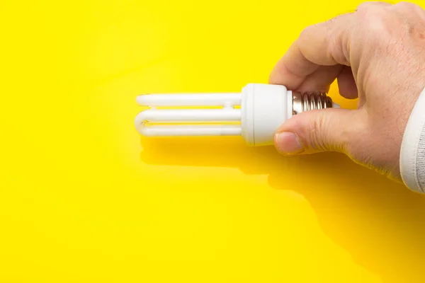 Energy saving light bulb and white color, daylight