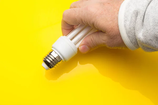 Energy saving light bulb and white color, daylight