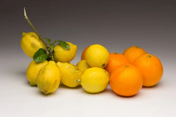 Nature morte de citrons et d'oranges et autres légumes — Photo