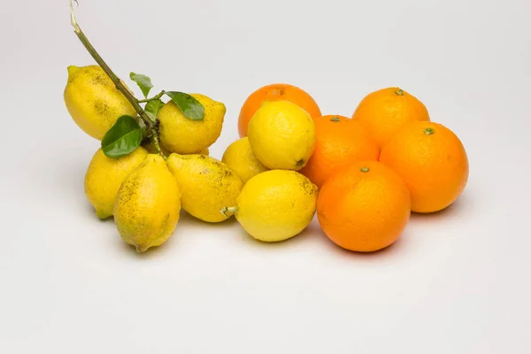 Natura morta di limoni e arance e altri ortaggi — Foto Stock