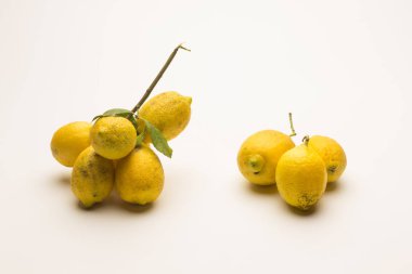 Ağaçtan yeni toplanmış limonlar, çok asitli turunçgiller.