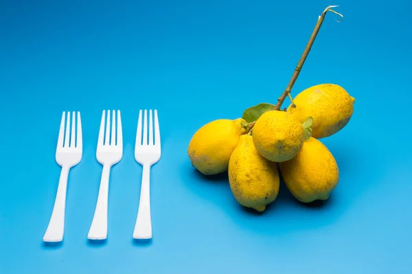 Healthy lemons with an acid flavor and full of vitamins, together with plastic cutlery; Citrus lemons on blue background.