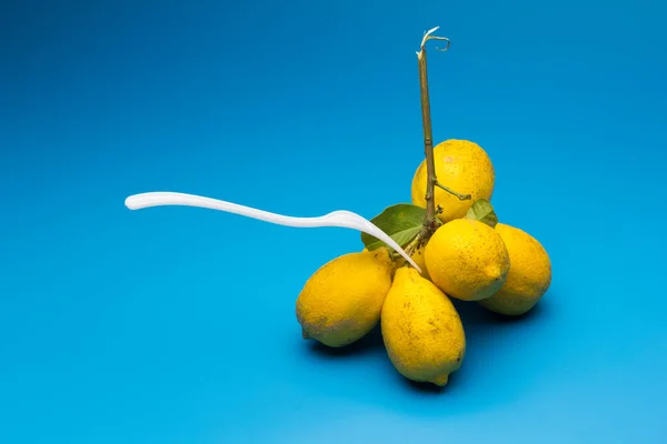 Healthy lemons with an acid flavor and full of vitamins, together with plastic cutlery; Citrus lemons on blue background.