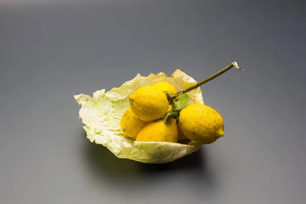 The fruit of the lemon tree is the lemon of yellow skin, with an acid flavor, aromatic skin and intense flavor, full of vitamin C; the lemon is used as juice to cool and in the kitchen to cook fish