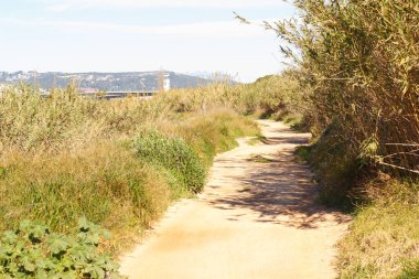 Baix L 'nin tarım alanındaki Llobregat nehrine paralel giden yol; Barselona, Katalula, İspanya' da Akdeniz 'e çok yakın olan libregat