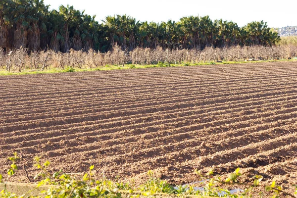 Campi Lavoravano Nel Parco Agricolo Baix Llobregat Appena Seminati Raccolto — Foto Stock