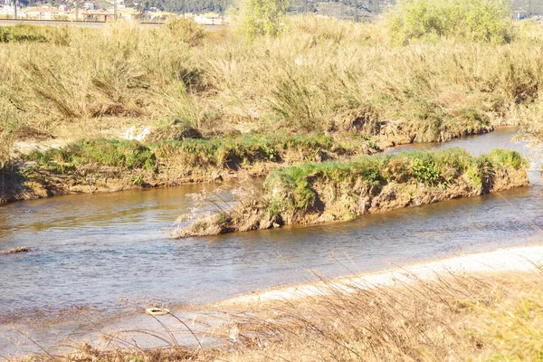 Ποταμός Llobregat Καθώς Διέρχεται Από Την Περιοχή Baix Llobregat Στην — Φωτογραφία Αρχείου