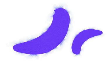 Çok bulaşıcı bir Coronavirüs virüsü, ağızdan bulaşma tehlikesi.