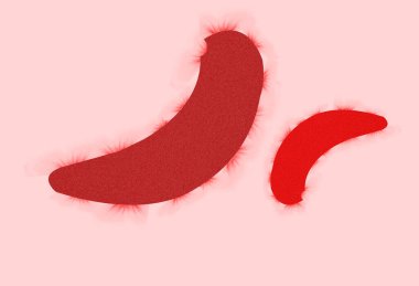 Çok bulaşıcı bir Coronavirüs virüsü, ağızdan bulaşma tehlikesi.