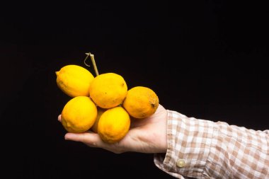 Limon, turunçgiller familyasından, asitli ve vitamin dolu sarı derili bir meyvedir. Sağlıklı meyve