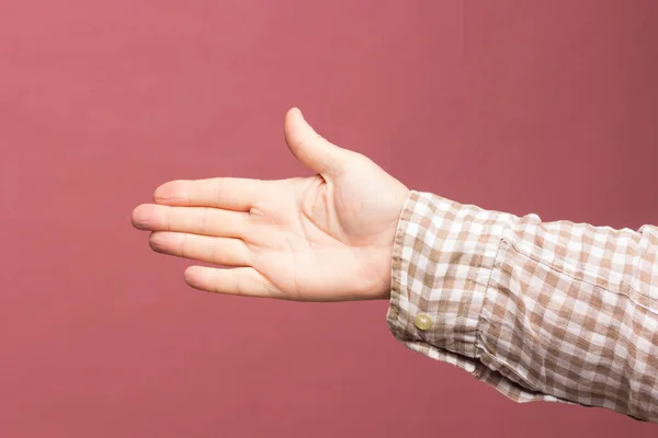 Die Perfektion Einer Erwachsenen Hand Mit Allen Fünf Fingern Die — Stockfoto