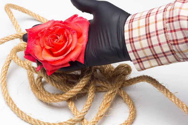 Ροζ Τριαντάφυλλο Λουλούδι Που Συμβολίζει Αγάπη Πάθος Ρομαντισμό Άνοιξη Λουλούδι — Φωτογραφία Αρχείου