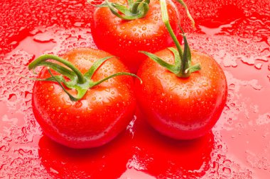 Domates ve elmalar, kırmızı meyveler, salataların çiğ yemesi için, vitamin dolu ve diyet için çok az kalori.