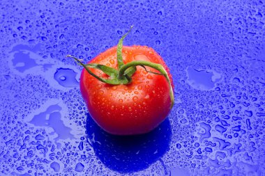 Domates ve elmalar, kırmızı meyveler, salataların çiğ yemesi için, vitamin dolu ve diyet için çok az kalori.