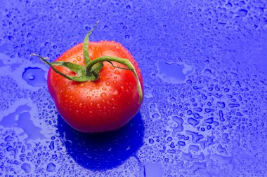 Domates ve elmalar, kırmızı meyveler, salataların çiğ yemesi için, vitamin dolu ve diyet için çok az kalori.