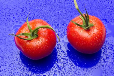 Domates ve elmalar, kırmızı meyveler, salataların çiğ yemesi için, vitamin dolu ve diyet için çok az kalori.