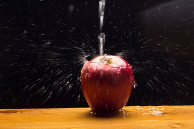 Elma çiğ yenen bir meyvedir. Mutfakta bazı yemeklere eşlik etmesine rağmen pişirilebilir, meyve suyu haline getirilebilir, komposto yapılabilir, fırında pişirilebilir..