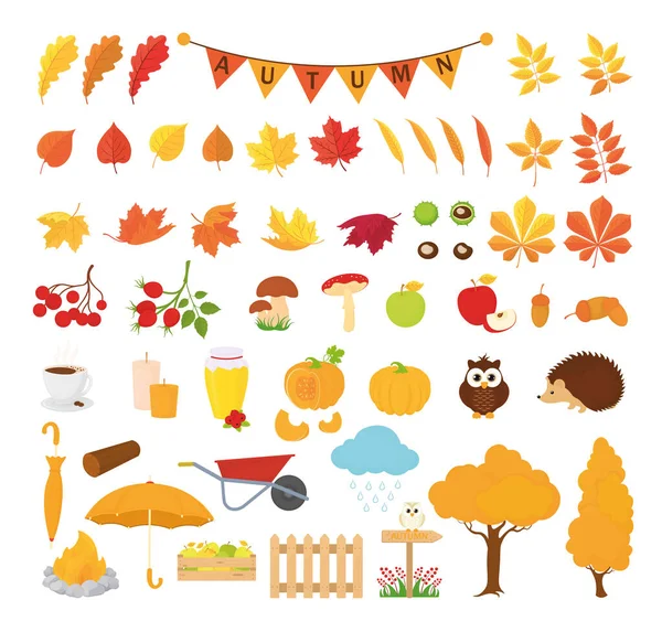 Temporada de otoño. Conjunto de dibujos animados de otoño lindo animales, plantas y alimentos — Vector de stock