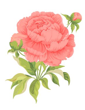 Tasarım için suluboya yaprakları ve tomurcukları olan parlak şakayıklardan oluşan güzel bir buket..