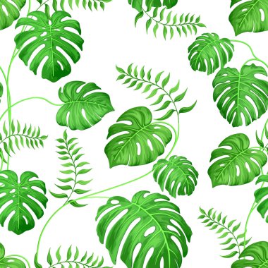 Seamless background with monster leaves and palm tropical plants. Exotic monster leaves on white.