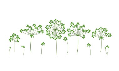 Botanik elementler alan çim vektör kümesi beyaz dallar üzerinde izole bırakır. Çiçek seti. Herbaryum. Doğum günü daveti, düğün, kartpostal tasarımı için güzel vektör tasarımı ögesi.