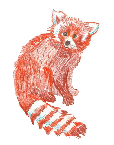 Röd panda handritad med vaxkritor. Söta djur texturillustrationer.Design för klistermärken och kort. — Stockfoto