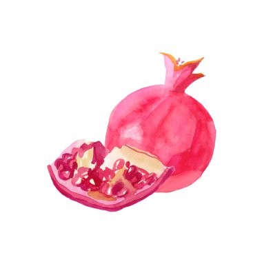 Nar suluboya resimli el çizimi. Pembe meyve.