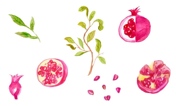 Set of watercolor pink pomegranate hand drawn. Slice of pomegran — Stock Photo, Image