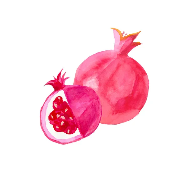 Гранат акварелью нарисован вручную. Розовые фрукты в й — стоковое фото