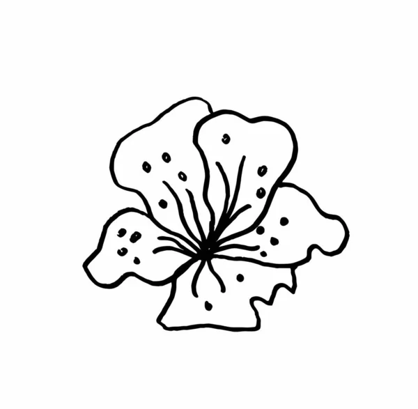 Διάνυσμα Λουλούδι Αγίου Βαλεντίνου Διακόσμηση Ημέρα Στο Απομονωμένο Φόντο Candinavian — Διανυσματικό Αρχείο