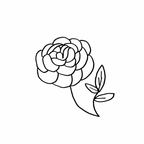 Vektorový Květ Valentýna Dekorace Izolovaném Pozadí Skandinávský Styl Únor Doodle — Stockový vektor