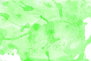 Suluboya yeşil doku, lekeler ve sıçramalar. Düğün için tasarım