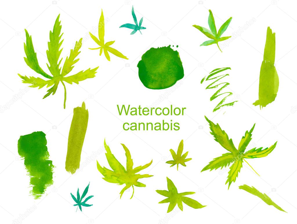 Set of watercolor green cannabis collection. Illustrations of cl