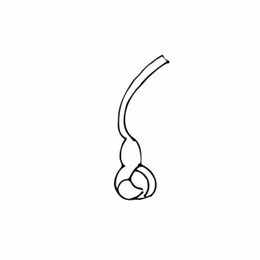 Vektör bir sakura. Siyah bahar çiçekleri beyaz izole arkaplanda sergilenir. Düğünler, baskılar, çıkartmalar, web, renklendirme, kartlar, düzenler için tasarım.