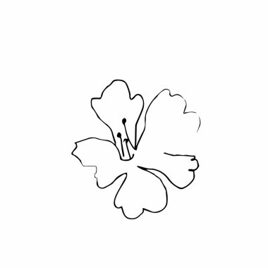 Vektör bir sakura. Siyah bahar çiçekleri beyaz izole arkaplanda sergilenir. Düğünler, baskılar, çıkartmalar, web, renklendirme, kartlar, düzenler için tasarım.