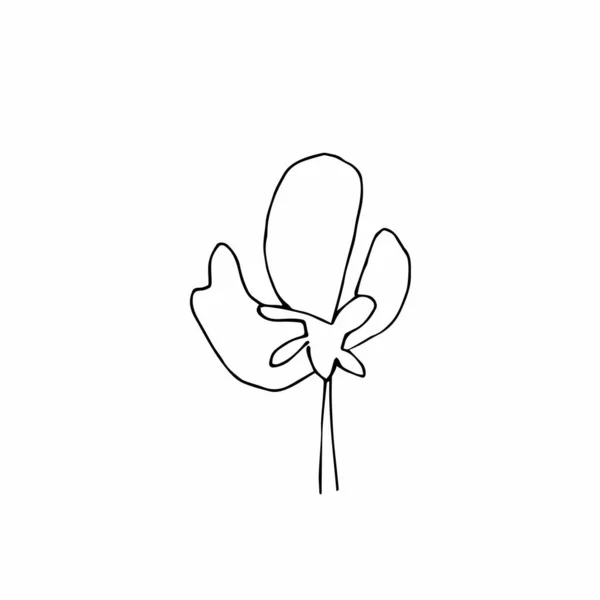 Вектор Один Сакура Чорна Весна Ілюстрація Квітів Лінії Мистецтва Білому — стоковий вектор
