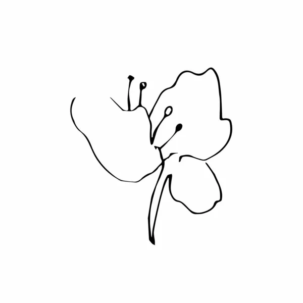 Вектор Один Сакура Черная Весна Иллюстрация Цветы Линии Искусства Белом — стоковый вектор