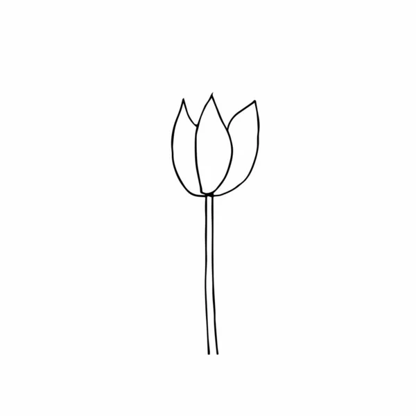Vector enkele bloem hand getrokken. Een eenvoudige illustratie van een doodle in zwarte lijn kunst op een witte geïsoleerde achtergrond. Ontwerp voor prints, inpakpapier, behang, verpakking, kaarten en kleuren. — Stockvector
