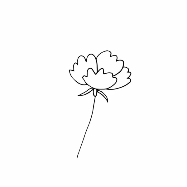 Vector single flower hand drawn. A simple illustration of a doodle in black line art on a white isolated background. Design for prints, wrapping paper, wallpaper, packaging, cards and coloring.