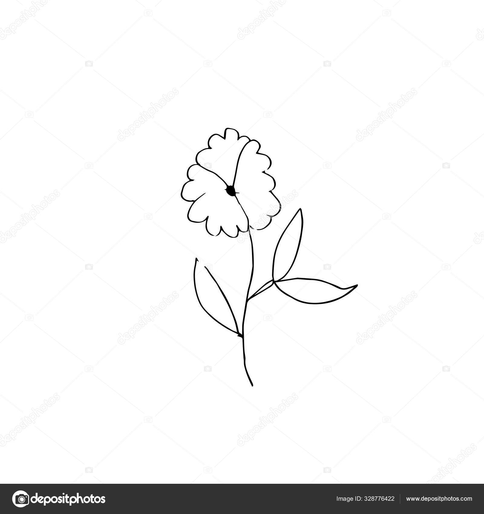 Vector Single Flower Hand Drawn Simple Illustration Doodle Black Line Stock Vector C Lucyinthepaint Vector Single Flower Hand Drawn Simple Illustration Doodle Black Line Stock Vector C Lucyinthepaint