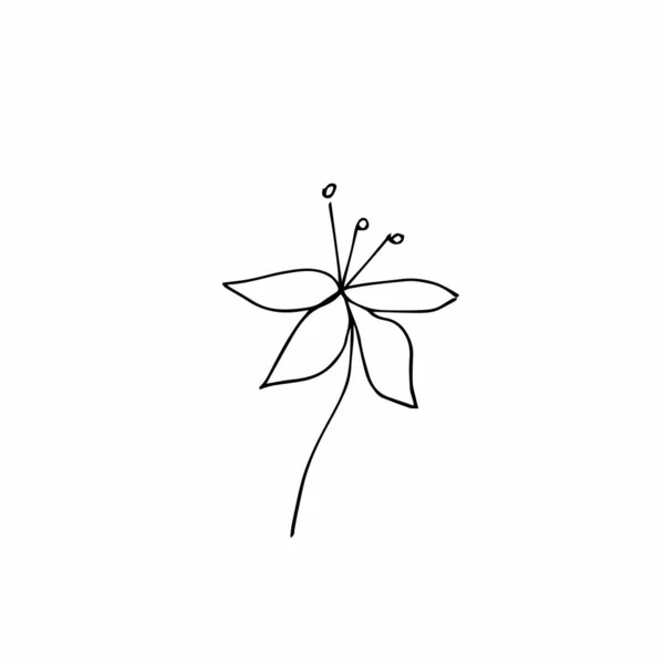 Vecteur Fleur Unique Dessiné Main Illustration Simple Gribouillis Toile Noire — Image vectorielle