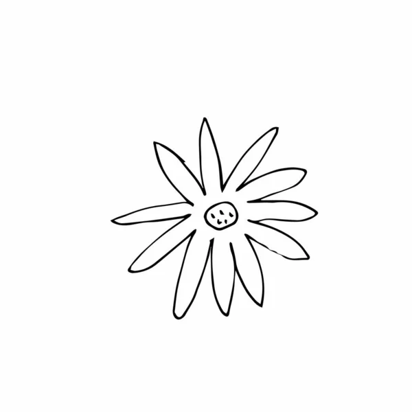 ベクトル単弁花手描き 白地の孤立した背景に黒い線画のドアのシンプルなイラスト 包装紙 カードと着色のためのデザイン — ストックベクタ