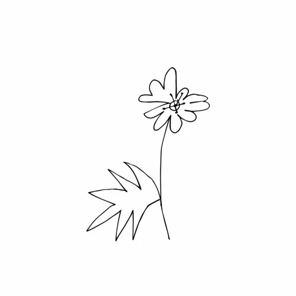 Vector Solo Flor Dibujado Mano Una Simple Ilustración Garabato Arte — Archivo Imágenes Vectoriales