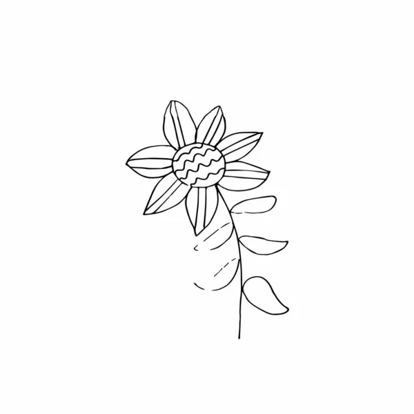 Vektor Einzelne Blume Hand Gezeichnet Eine Einfache Illustration Eines Doodle — Stockvektor