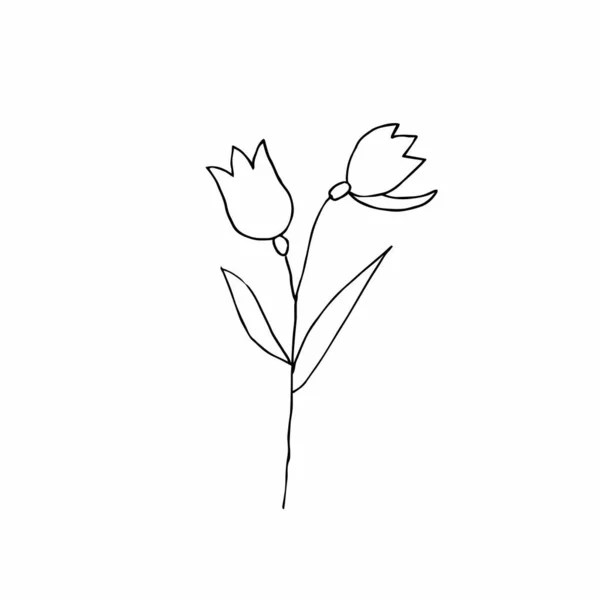 Vettore Singolo Fiore Disegnato Mano Una Semplice Illustrazione Uno Scarabocchio — Vettoriale Stock