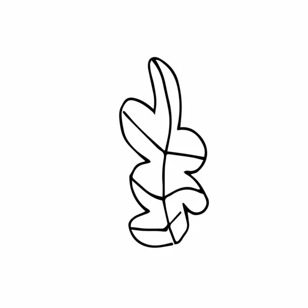 Vector Single Leaves Hand Drawn Simple Illustration Doodle Black Line — 스톡 벡터