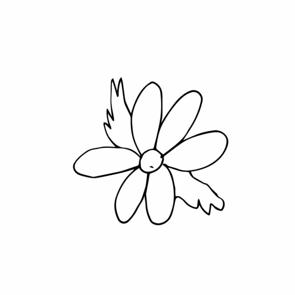 Vetor Mão Única Flor Desenhada Uma Ilustração Simples Doodle Arte —  Vetores de Stock