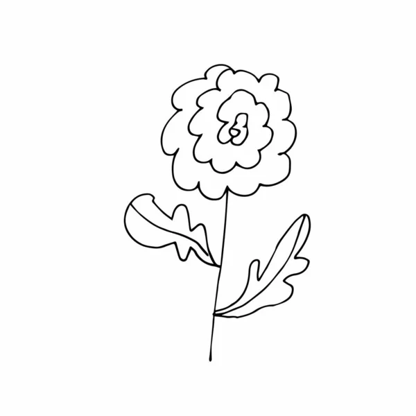 Vector Solo Flor Dibujado Mano Una Simple Ilustración Garabato Arte — Archivo Imágenes Vectoriales