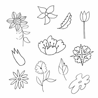 Set of vector flowers and leaves hand drawn clip art. Black line art illustration on a white isolated background. Design for wrapping paper, stickers, cards, packages and coloring.